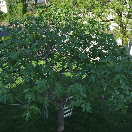 Casa Wilma 维罗纳